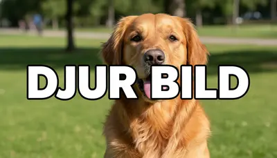 Smakprov från kategorin Djur